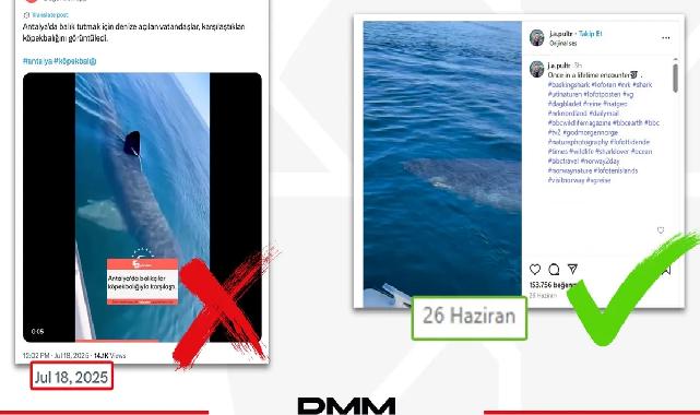 Antalya’da köpekbalığı iddiası dezenformasyon çıktı... DMM: O video Norveç’ten!
