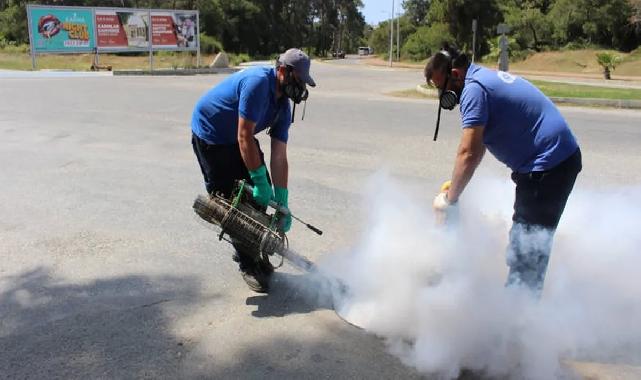 Antalya’nın tüm ilçelerinde haşereyle mücadele sürüyor
