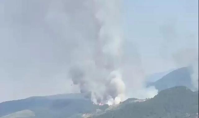Balıkesir Sındırgı'da orman dışı alanda yangın!