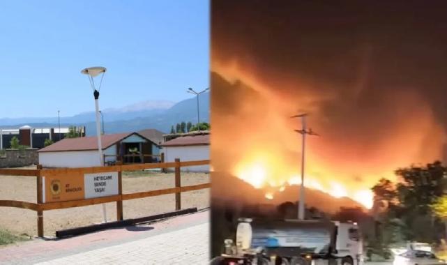 Bursa'da yangından etkilenen hayvanlara el açtılar
