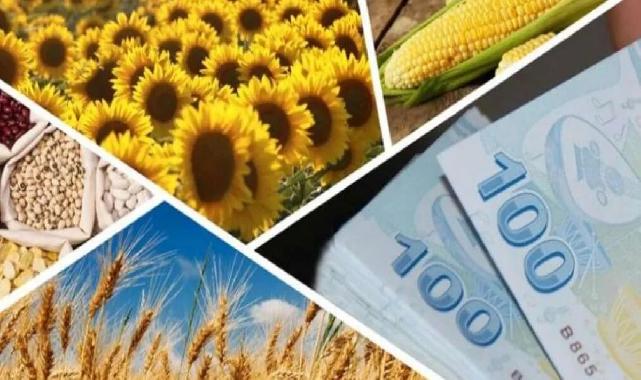 Çiftçilere 1,7 milyar TL’lik destek ödemesi hesaplarda