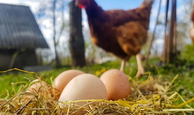 Destekleme ve Fiyat İstikrar Fonu'nda değişiklik... O fon kesintisi kaldırıldı!