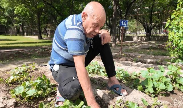 Kayseri'nin Ulu Çınarları'ndan bitki şov