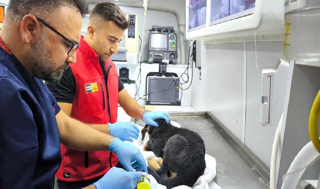 Konya İtfaiyesi’nden yürekleri ısıtan kurtarma operasyonu
