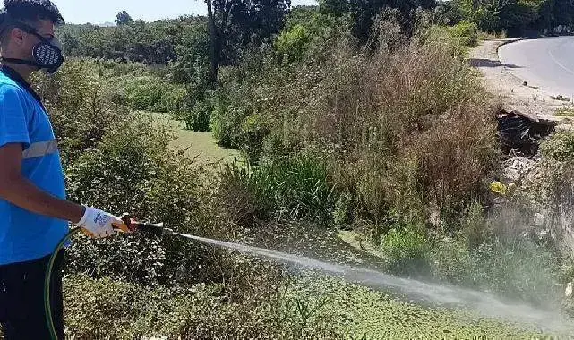 Sakarya'da dere yatakları, kanallar, bataklıklar ve göletlere tek tek ulaşıyorlar