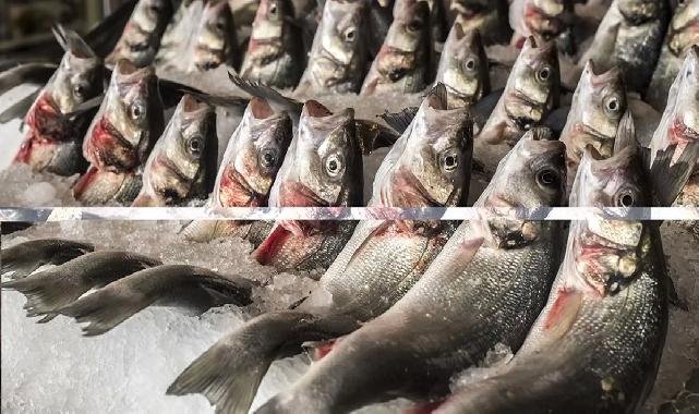 Su ürünlerinde 24 ihracat şampiyonunun 13'ü Egeli