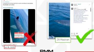 Antalya’da köpekbalığı iddiası dezenformasyon çıktı... DMM: O video Norveç’ten!