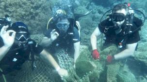 Ayvalık'ta yasa dışı trol ağı tespit edildi, denizden çıkarıldı