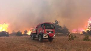 Bakan Yerlikaya'dan 5 günlük yangın raporu: 7 gözaltı, 3 tutuklama