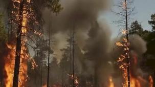 Bakan Yumaklı’dan orman yangını uyarısı: Yeşil Vatan'ı hep birlikte koruyalım