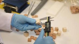 BTÜ’den yerli odun türlerini mobilya ve yapı sektörüne kazandıracak proje