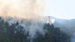 Bursa Kestel'de 2 günde kontrol altına alınan yangının soğutması 5 gün daha sürecek