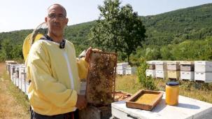 Coğrafi işaretli 'Yalova Kestane Balı' sofralarda parlıyor