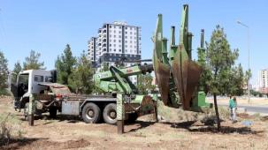 Diyarbakır'dan ağaçlara saygı duruşu