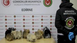 Gümrüklerde yılın ilk yarısında 35,5 milyar TL'lik kaçak eşya yakalandı... Gümrüklerde yakalamalar yüzde 199 arttı