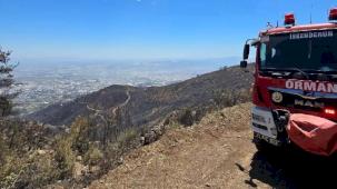 Hatay'daki orman yangını kontrol altında