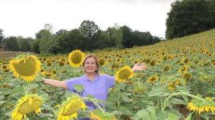 İzmit ayçiçek tarlalarından yağ üretecek