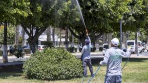 Mersin'de ilaçlama çalışmaları sürüyor
