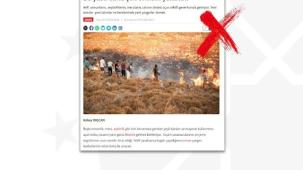 Ormanlarla ilgili 'torba yasa' iddiaları yalanlandı