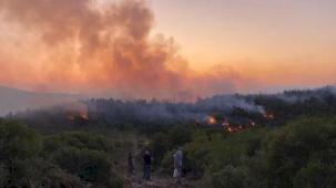 Urla’da yangın kontrol altına alındı