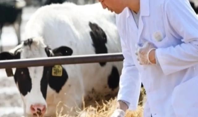 Tarım-GFE'de Mayıs verileri açıklandı... Veteriner harcamaları yine başı çekiyor