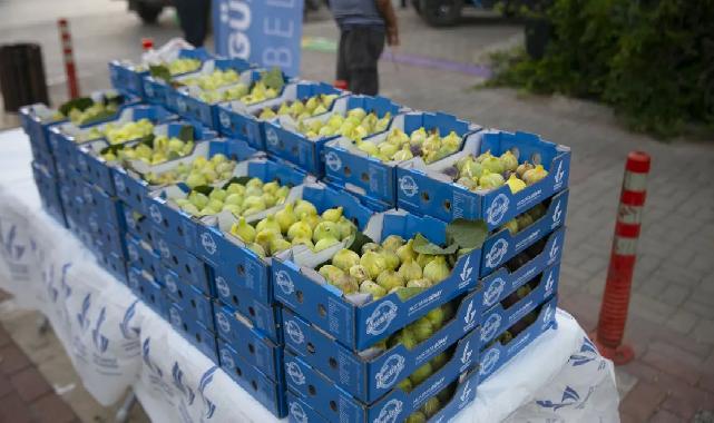 İzmir Güzelbahçe'de dalında kuruyan bardacağı belediye aldı