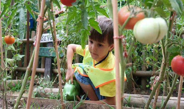 Kocaeli'de Lokomotif Çocuk Köyü'nde hasat sevinci