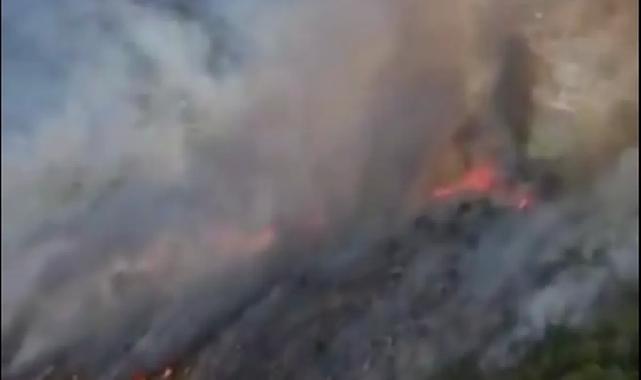 Muğla Seydikemer'de orman yangını