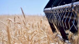 2025-2027 bitkisel üretim desteklemelerinde değişiklik