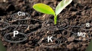 Antalya’da üreticiye tarım eğitimleri başlıyor