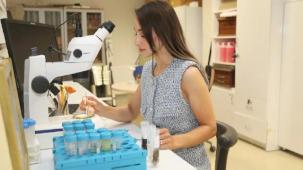 BTÜ Karacabey’in nadir böcek türlerini kayıt altına alacak