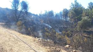 Buca ve Aliağa’da çıkan yangınlar kontrol altında