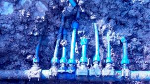 Görenler şok oldu! Şeytanın aklına gelmez