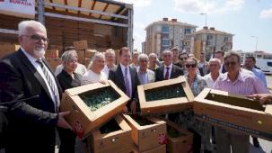 İstanbul'dan çiftçilere 5 yılda 70 milyon fide desteği