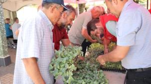 İzmit’te başlayan fide desteği, Gebze köylerine ulaştı