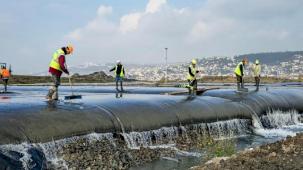 Körfez'de çamur gidiyor, yeni canlılar geliyor
