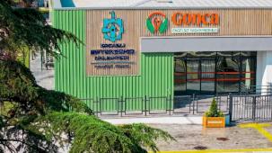 Özel bireylere umut Kocaeli'de filizleniyor