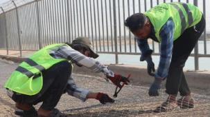 Sulama kanalında can güvenliği için tel örgü önlemi