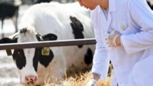 Tarımsal girdide veteriner ve gübre harcamaları arttı