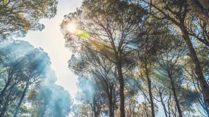 Yangın riskine karşı tatilde nasıl davranmalıyız?