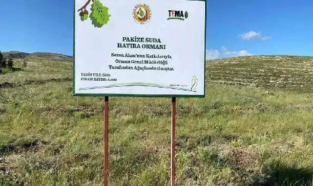 TEMA gönüllüsü Sezen Aksu, Pakize Suda adını hatıra ormanı ile yaşatacak