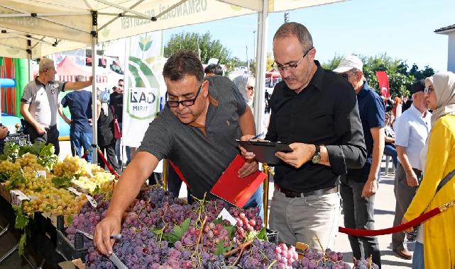 Bursa'da en kaliteli üzümler Osmangazi’de yarıştı