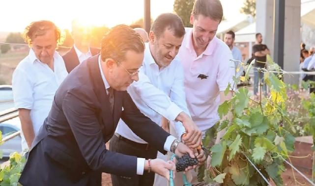 Çal Bağbozumu Festivali kültürle renklendi