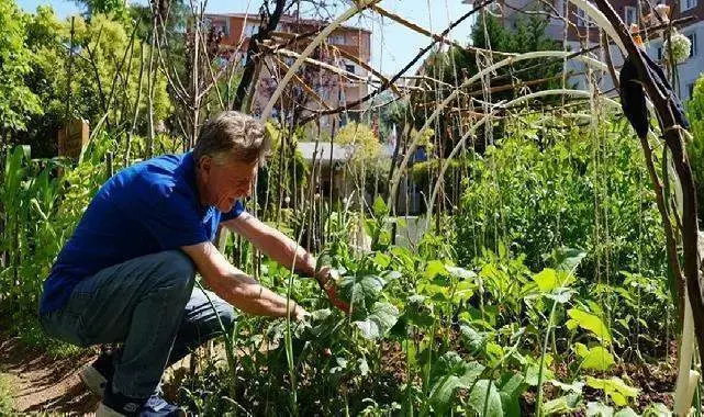 İstanbul Maltepe’de altın yıllara yeşil bir nefes