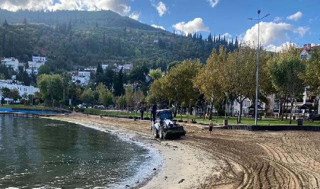 Kocaeli sahillerine Büyükşehir eliyle temiz sezon