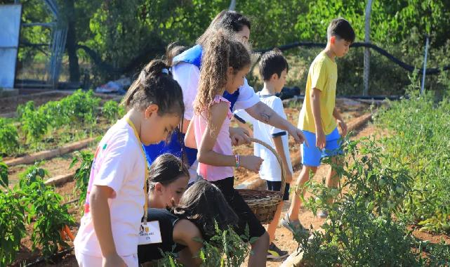 Muğla’da minik eller hasat sevinci yaşadı