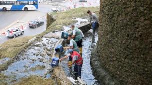 Ankara Keçiören Şelalesi sonbahar bakımında