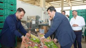 Bursa Yenişehir'in tarım ürünleri Libya yolunda... İlk numuneler gönderildi