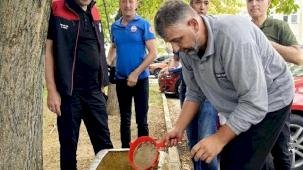 Bursa'nın su kaynaklarına 2,2 milyon sazan balığı bırakılacak