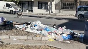 İzmir Buca’da çöp krizi! Mahalleler çöplüğe döndü, vatandaşlar isyanda